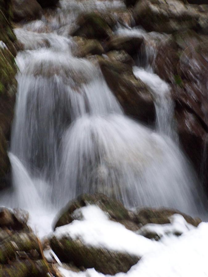 B&B Ai Pini Tiarno di Sopra Экстерьер фото