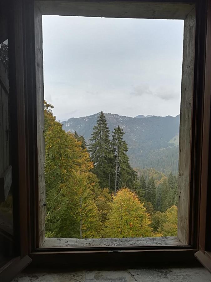 B&B Ai Pini Tiarno di Sopra Экстерьер фото