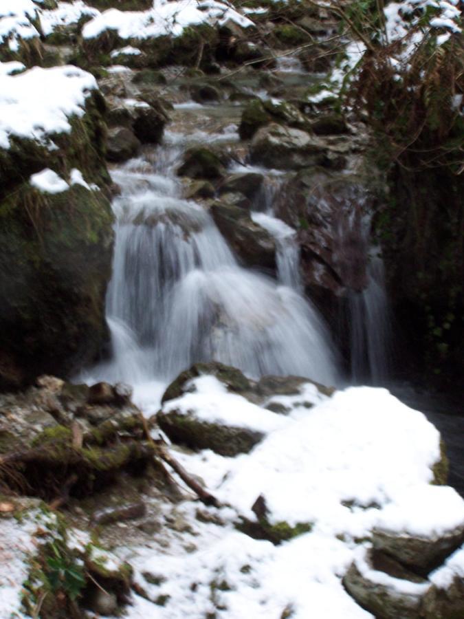 B&B Ai Pini Tiarno di Sopra Экстерьер фото